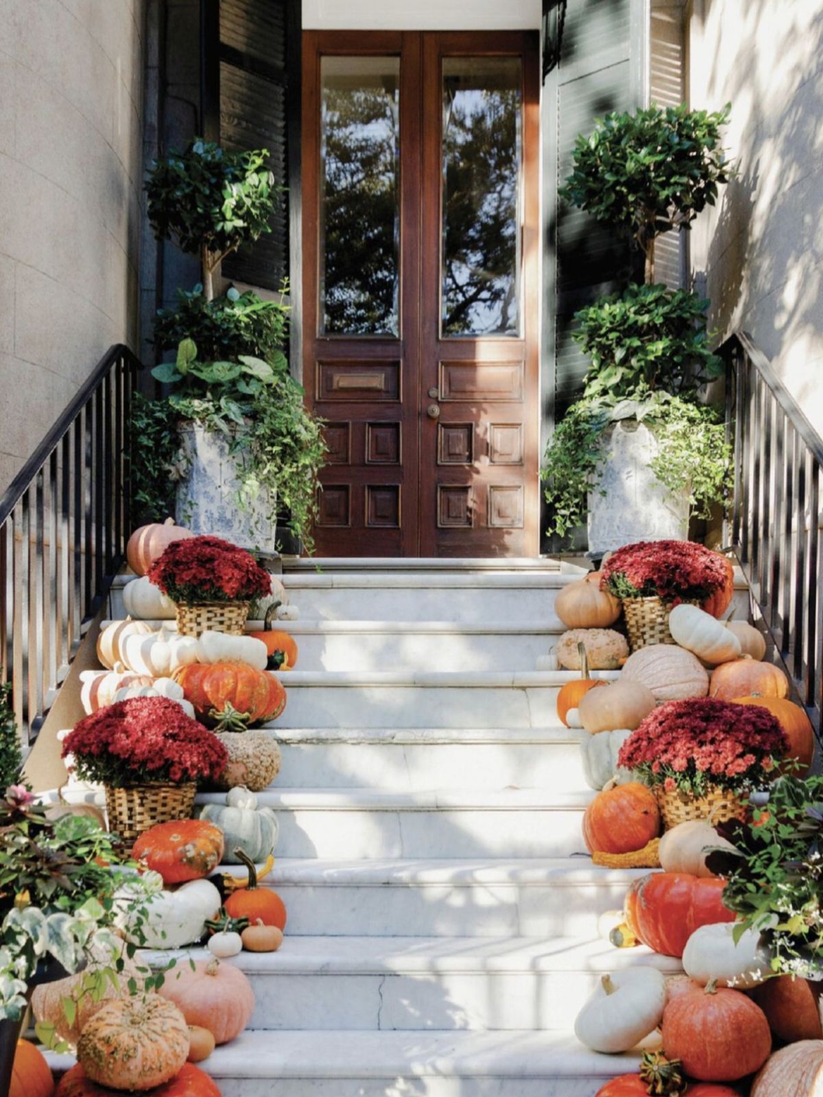 A Bountiful Harvest of Pumpkins and Blooms