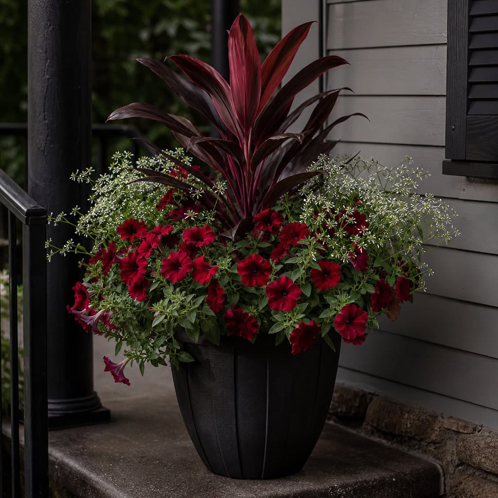 Moody Cordyline, Burgundy Petunia, and White Euphorbia