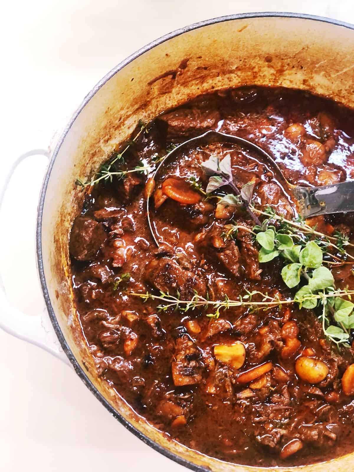 Provencal Braised Beef and Wild Mushroom Ragout