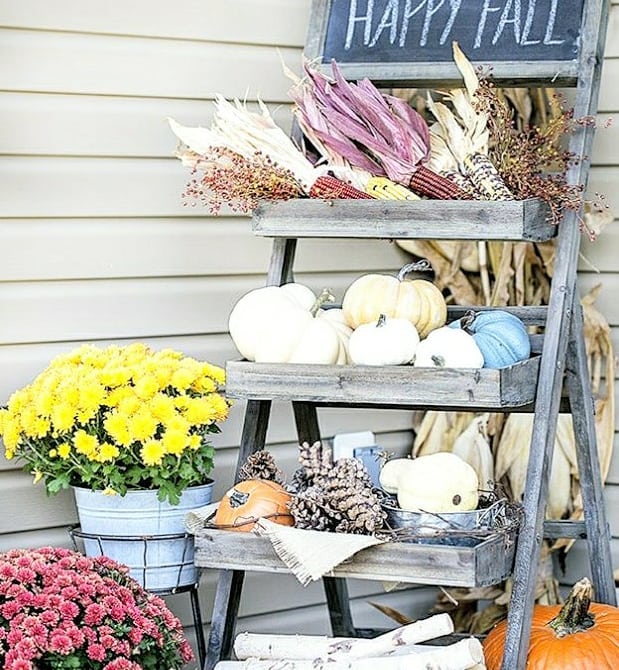 Cozy Charm with a Rustic Ladder Display
