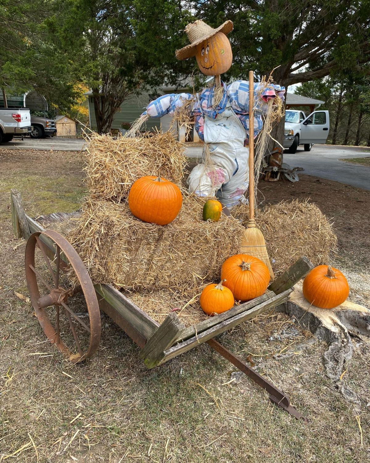 Whimsical Wheelbarrow Scarecrow Delight