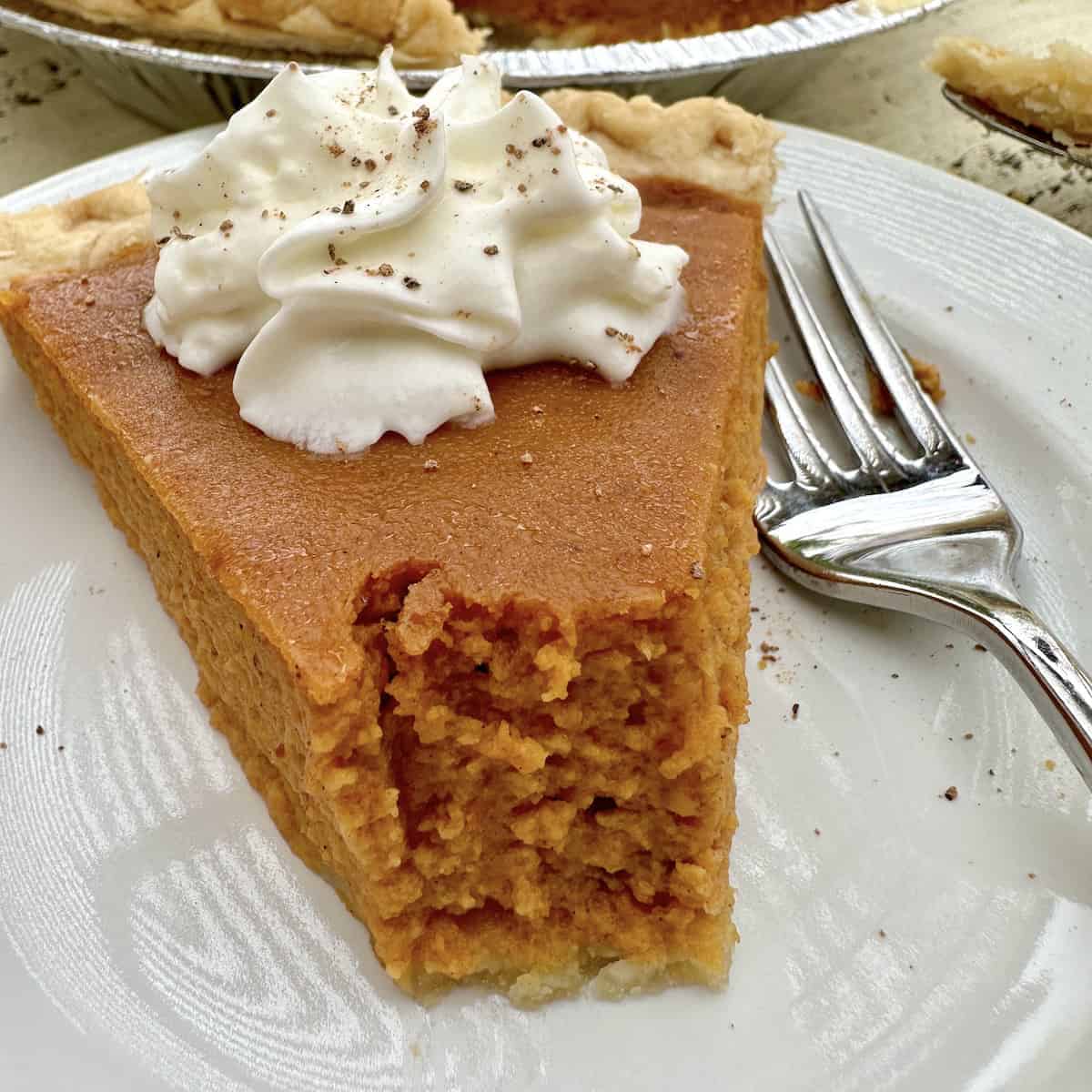 Classic Spiced Rich Milk Harvest Custard Tart