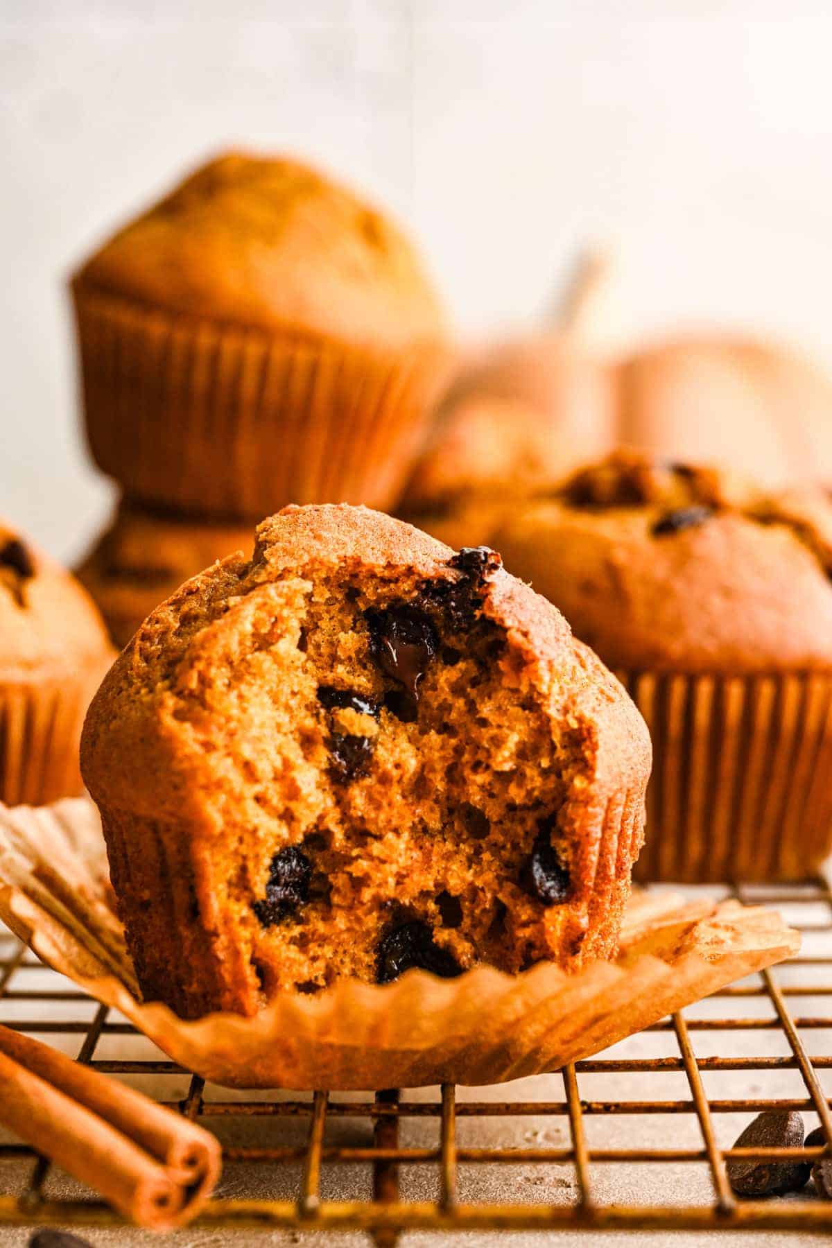 Cozy Spiced Pumpkin and Cocoa Morsel Bakes