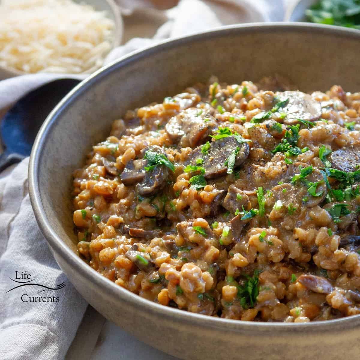 Slow-Cooker Savory Mushroom and Thyme Farro