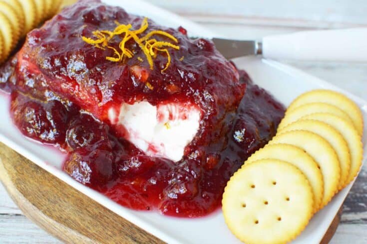 Festive Orange-Cranberry Cheesespread