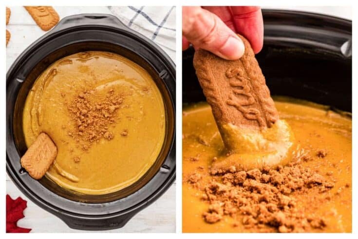 Crockpot Maple-Pumpkin Party Dip