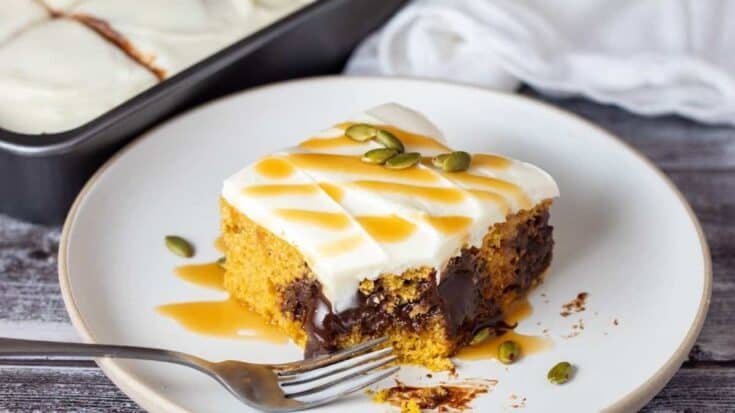 Spiced Pumpkin Chocolate Ribbon Cake
