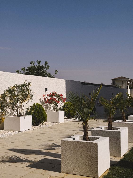Modern paved patio with potted plants under a blue sky